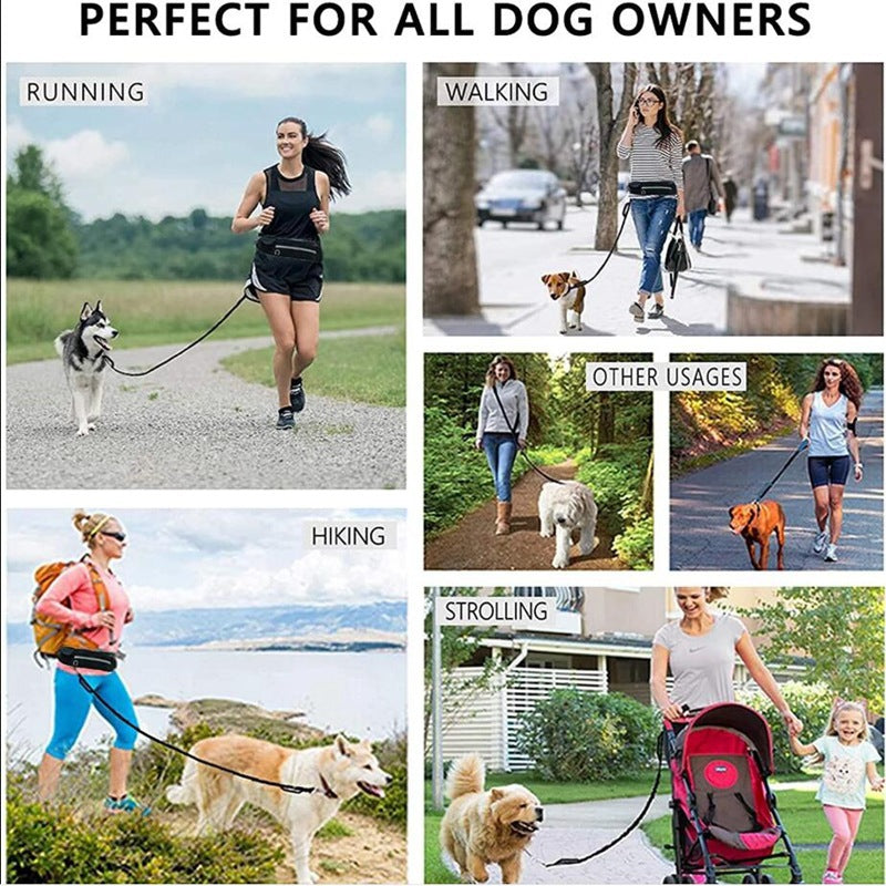 Hands-Free Dog Running Leash with Waist Belt & Shock-Absorbing Bungee