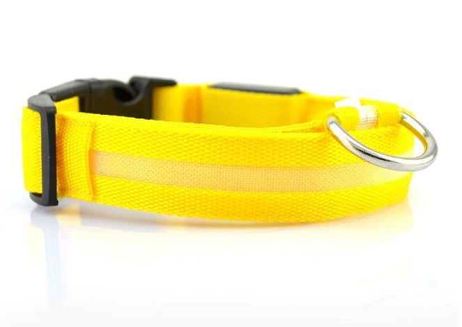 LED Safety Dog Collar – Adjustable Light-Up Collar for Night Walks