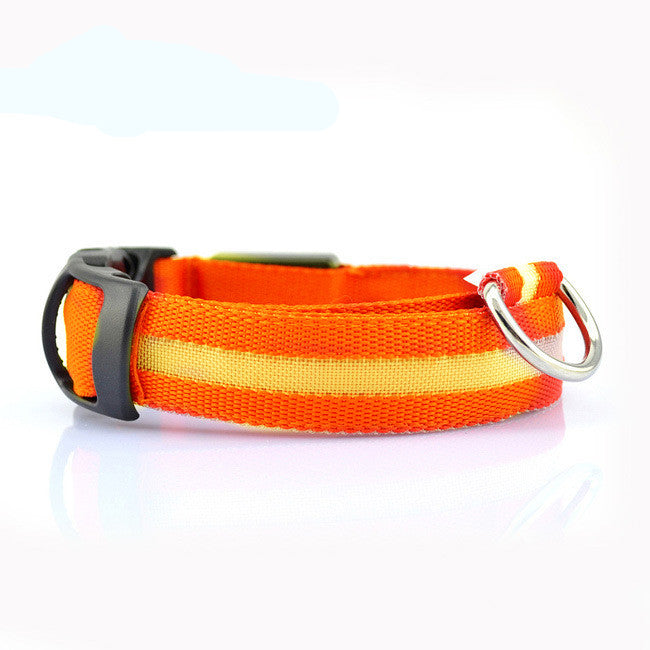 LED Safety Dog Collar – Adjustable Light-Up Collar for Night Walks