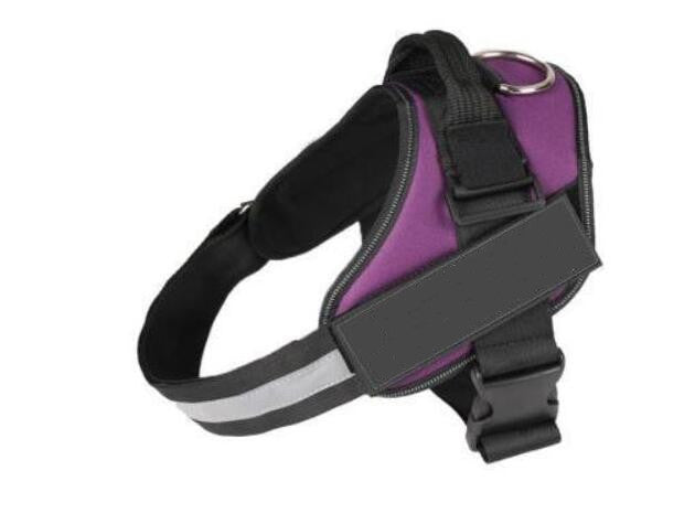 Comfortable and breathable dog harness in purple
