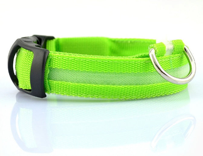 LED Safety Dog Collar – Adjustable Light-Up Collar for Night Walks