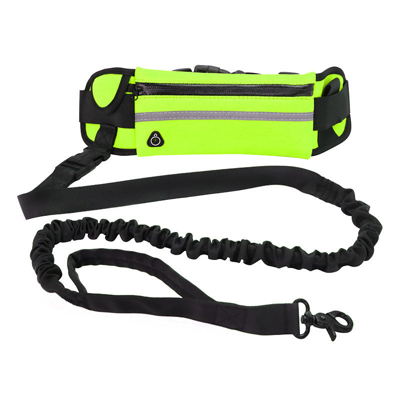 Hands-Free Dog Running Leash with Waist Belt & Shock-Absorbing Bungee