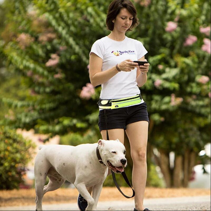 Hands-Free Dog Running Leash with Waist Belt & Shock-Absorbing Bungee
