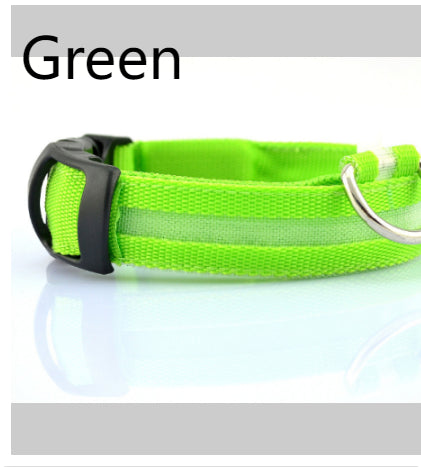 LED Safety Dog Collar – Adjustable Light-Up Collar for Night Walks