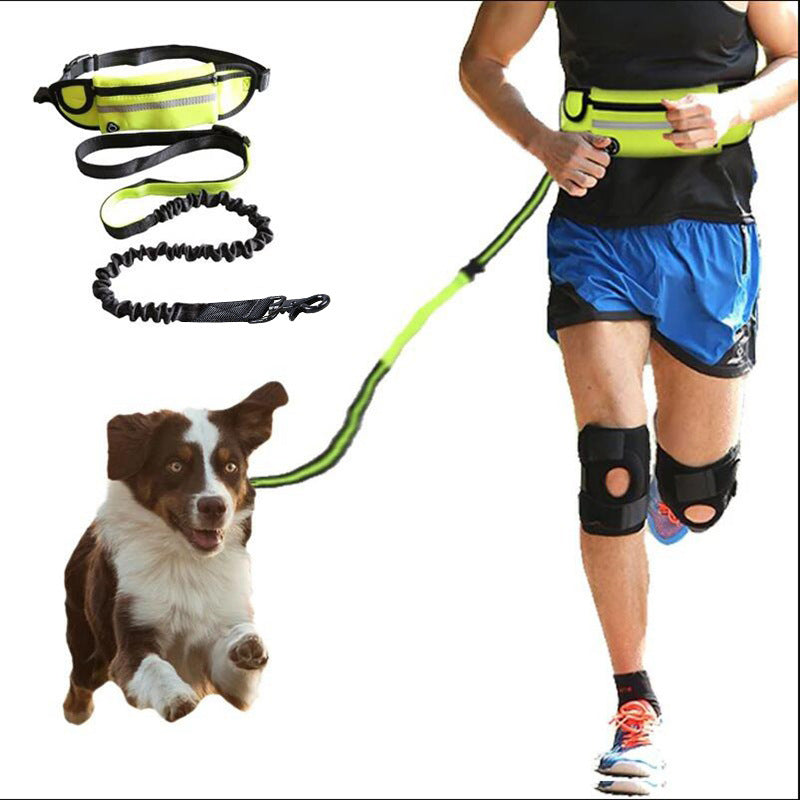 Hands-Free Dog Running Leash with Waist Belt & Shock-Absorbing Bungee