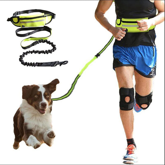 Hands-Free Dog Running Leash with Waist Belt & Shock-Absorbing Bungee