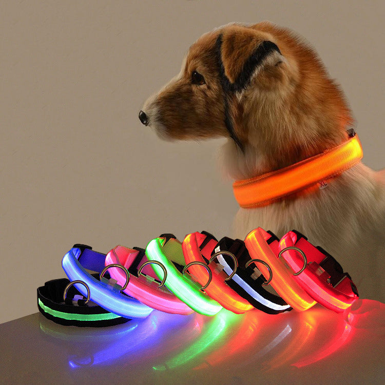 LED Safety Dog Collar – Adjustable Light-Up Collar for Night Walks