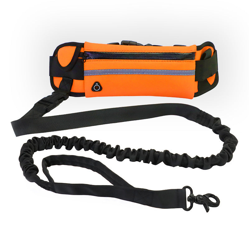 Hands-Free Dog Running Leash with Waist Belt & Shock-Absorbing Bungee