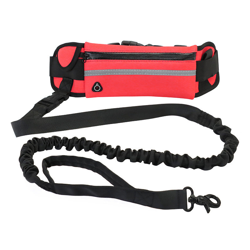Hands-Free Dog Running Leash with Waist Belt & Shock-Absorbing Bungee